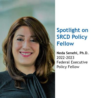 Neda Senehi, Ph.D.
