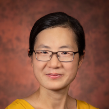 Dr. Yang Hou